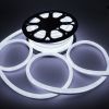 LED Neon Light 50ft White